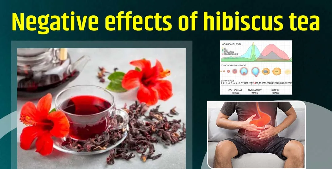 Negative effects of hibiscus tea